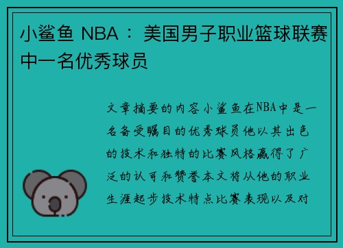 小鲨鱼 NBA ：美国男子职业篮球联赛中一名优秀球员