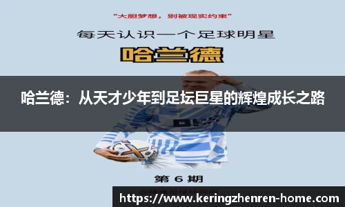开云真人